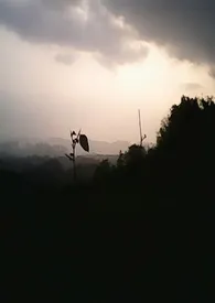 春潮带雨晚来急小说完结版免费阅读(作者:桃汝)