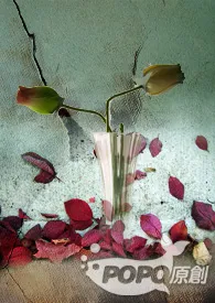 医生,救救我小说完结版免费阅读(作者:一根草)