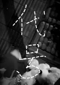 《代号(H)》1970版小说全集 秋鹜子完本作品