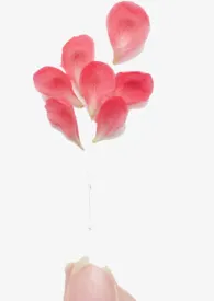 花非花(短篇集)1970全章节阅读 花非花(短篇集)小说免费阅读