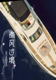 《南风过境》1970版小说全集 吴慕苏完本作品