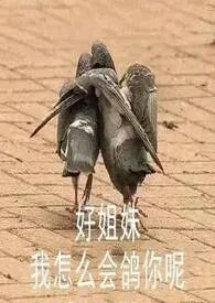 1970全新版本《修女今天也是被惦记着(np高h)》 猫酱的泥塑口嗨作品完结免费阅读