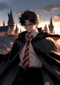 巨根哈利开局爆肏佩妮姨妈!(后宫高H)小说完结版免费阅读(作者:小晨)