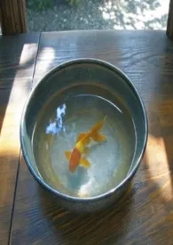 《甜钩(1V1)》小说在线阅读 泛懒作品