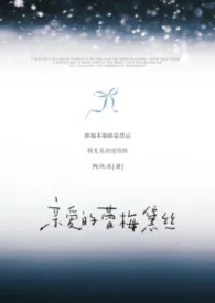 《亲爱的蕾梅黛丝【养父女/强制爱/高H】》2026版小说全集 两块冰完本作品