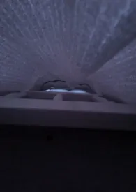 婴儿肥最新章节目录 婴儿肥全本在线阅读