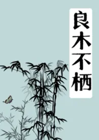 良木不栖(1v1 伪叔侄)2026全章节阅读 良木不栖(1v1 伪叔侄)小说免费阅读