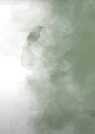 绿辣春卷著作《晚来烟(古言)》小说全文阅读